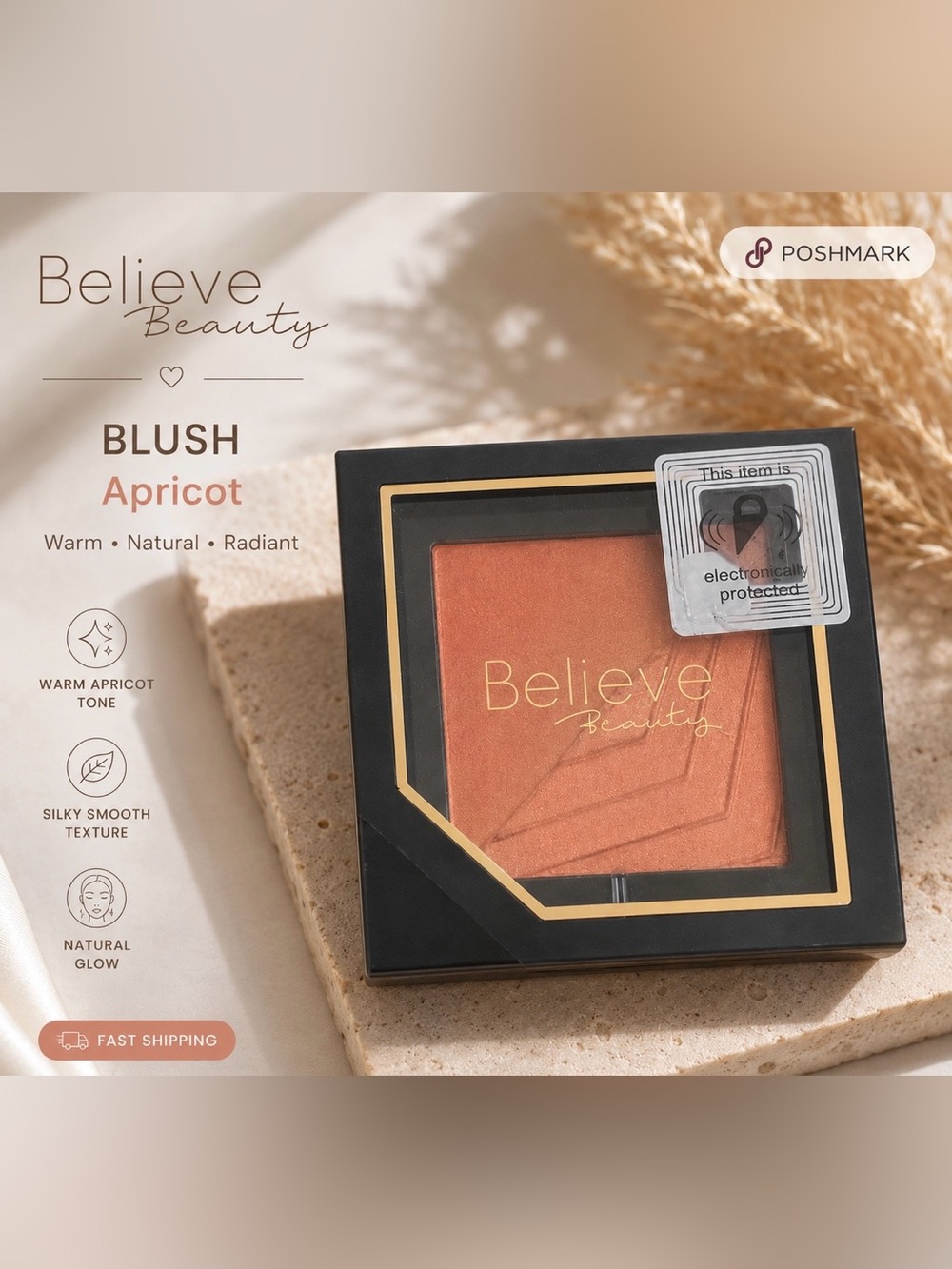 Apricot Blush - Warm Apricot Tone